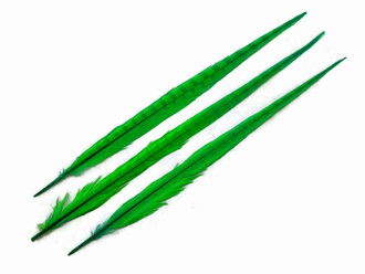 Bright Green Long Ringneck Pheasant Tail Feathers
