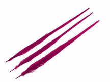Burgundy Long Ringneck Pheasant Tail Feathers