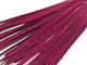 Dark Red Long Pheasant Feathers