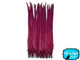 Deep Red Long Pheasant Tail Feathers