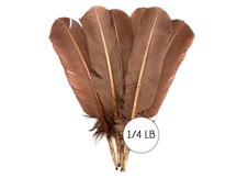 1/4 Lb. - Light Brown Turkey Tom Rounds Secondary Wing Quill Wholesale Feathers (Bulk)