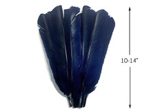 1/4 Lb - Navy Blue Turkey Pointers Primary Wing Quill Large Wholesale Feathers (Bulk)