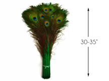 50 Pieces - 30-35" Kelly Green Dyed Over Natural Long Peacock Tail Eye Wholesale Feathers (Bulk)