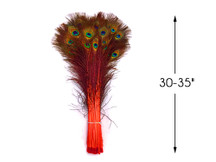 50 Pieces - 30-35" Orange Dyed Over Natural Long Peacock Tail Eye Wholesale Feathers (Bulk)