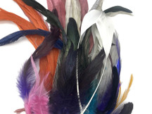 Collection 95 - Mix Random Feather Sample Pack (Bulk)