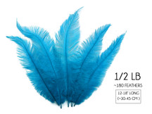 1/2 Lb - Turquoise Blue Mini Spads Ostrich Wholesale Chick Body Feathers (Bulk)