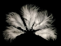 1/4 Lb - 3-4" White Turkey Marabou Short Down Fluffy Loose Wholesale Feathers (Bulk)