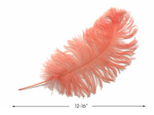 10 Pieces -  12-16" Apricot Dyed Ostrich Tail Fancy Feathers