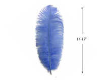 10 Pieces - 14-17" Light Blue Ostrich Dyed Drab Body Feathers