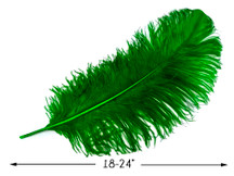 10 Pieces - 18-24" Kelly Green Large Prime Grade Ostrich Wing Plume Centerpiece Feathers