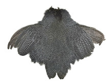 1 Piece  - High Quality Guinea Fowl Natural Polka Dot with Wing Complete Pelt Feathers (Bulk)
