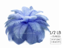 1/2 Lb. - 19-24" Light Blue Ostrich Extra Long Drab Wholesale Feathers (Bulk)