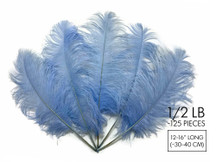 1/2 Lb - 12-16" Light Blue Ostrich Tail Wholesale Fancy Feathers (Bulk)