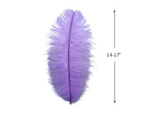 10 Pieces - 14-17" Lavender Ostrich Dyed Drab Body Feathers