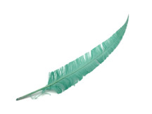 5 Pieces - Jade Green Long Ostrich Nandu Trimmed Feathers