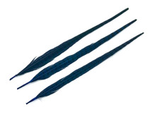 10 Pieces - 20-22" Blue Dyed Over Natural Long Ringneck Pheasant Tail Feathers
