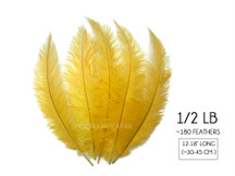 1/2 Lb - Golden Yellow Mini Spads Ostrich Wholesale Chick Body Feathers (Bulk)