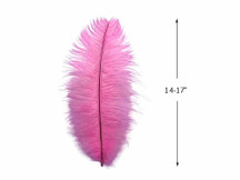 10 Pieces - 14-17" Pink Ostrich Dyed Drab Body Feathers
