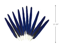 Set of 10 Tails Feathers - 17-23" Navy & Black Hyacinth Macaw Long Tail Feather Set - Rare-