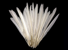 1/4 Lb. - Natural White Goose Pointers Long Primaries Wing Wholesale Feathers (Bulk)