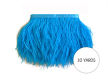 10 Yards - Turquoise Blue Ostrich Fringe Trim Wholesale Feather (Bulk)