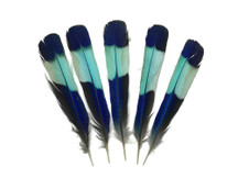 4 Pieces - Natural Turquoise Blue Indian Roller Exotic Tail Feathers