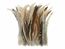 Wholesale Pack - 8-12" Natural Beige Mix Coque Tail Strung Rooster Feathers 2 Oz. (Bulk)