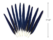 Set of 10 Tails Feathers - 17-22" Navy & Black Hyacinth Macaw Long Tail Feather Set - Rare-