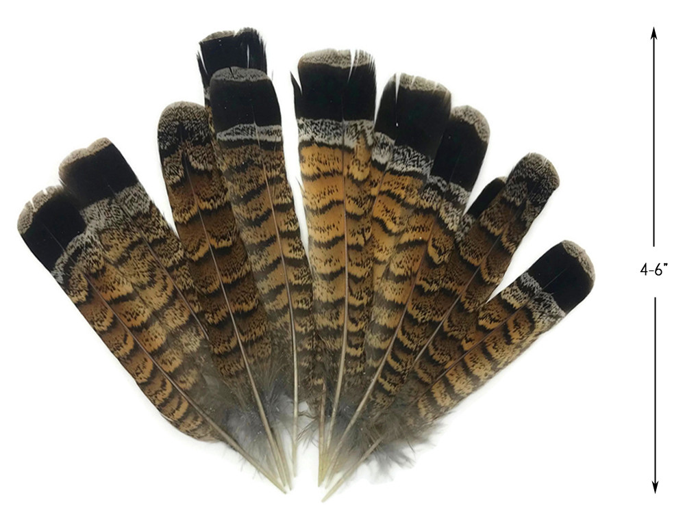 10 Pieces Black and White Partridge Feathers | Moonlight Feather