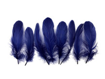 1 Pack - Navy Blue Goose Nagoire Loose Feather - 0.25 Oz