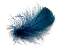 1 Pack - 2-3" Teal Blue Goose Coquille Loose Feathers - 0.35 Oz.