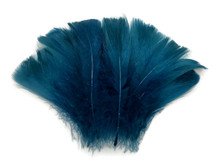 1/4 Lb - 2-3" Teal Blue Goose Coquille Loose Wholesale Feathers (Bulk)