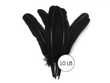 10 Lbs. - Black Turkey Rounds Secondary Wing Quill Wholesale Feathers (Bulk)