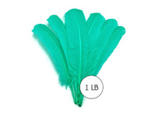 1 Lb. - Aqua Green Turkey Tom Rounds Secondary Wing Quill Wholesale Feathers (Bulk)