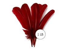 1 Lb. - Burgundy Turkey Tom Rounds Secondary Wing Quill Wholesale Feathers (Bulk)