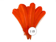 1 Lb. - Orange Turkey Tom Rounds Secondary Wing Quill Wholesale Feathers (Bulk)