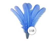 1 Lb. - Copenhagen Blue Turkey Tom Rounds Secondary Wing Quill Wholesale Feathers (Bulk)