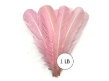 1 Lb. - Light Pink Turkey Tom Rounds Secondary Wing Quill Wholesale Feathers (Bulk)