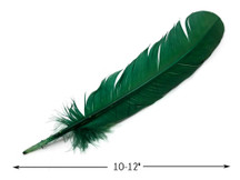6 Pieces - Hunter Green Turkey Rounds Secondary Wing Quill Feathers