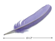 6 Pieces - Lavender Turkey Rounds Secondary Wing Quill Feathers