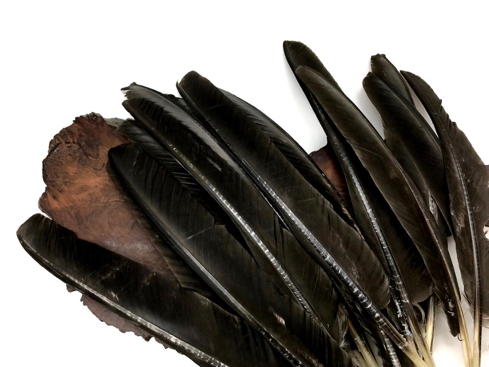 3pcs Natural Barred Wild Turkey Wing Feathers Large 25-30cm DIY Smudge Fan Quill