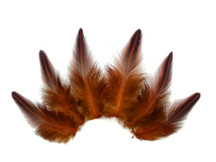 10 Pieces - Orange Dyed Jungle Cock Loose Plumage Feather