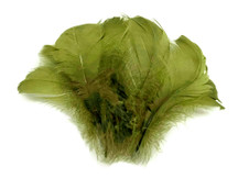 1/4 Lb - 2-3" Olive Green Goose Coquille Loose Wholesale Feathers (Bulk)