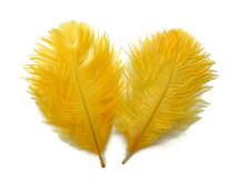 1 Pack - Golden Yellow Ostrich Small Confetti Feathers 0.3 Oz