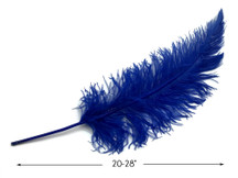 10 Pieces - 20-28" Royal Blue Ostrich Spads Large Feathers