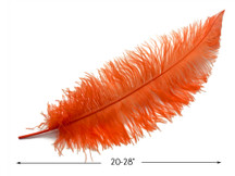 10 Pieces - 20-28" Orange Ostrich Spads Large Wing Feathers