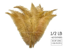 1/2 Lb - Antique Gold Large Ostrich Spads Wholesale Feathers 20-28" (Bulk) Swa