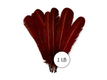 1 Lb. - Wine Brown Turkey Tom Rounds Secondary Wing Quill Wholesale Feathers (Bulk)