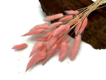 30 Pieces - 12-15" Baby Pink Bunny Tail Preserved Dried Botanical Grass Bouquet