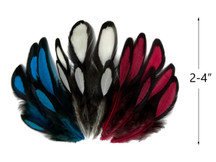 30 Pieces - Red, White, Blue Mix Whiting Farms Laced Hen Saddle Feathers